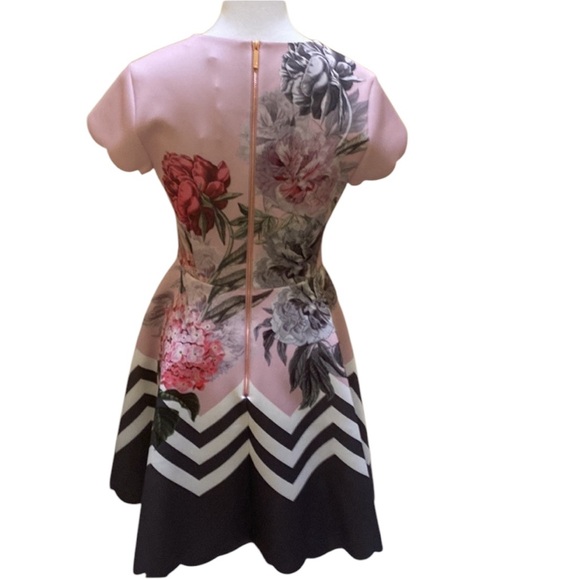 NWT Ted Baker Palace Gardens Skate Dress size 8 - Picture 4 of 13